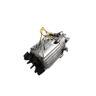 Motor de Indução 220V/60Hz Lavadora Bravo